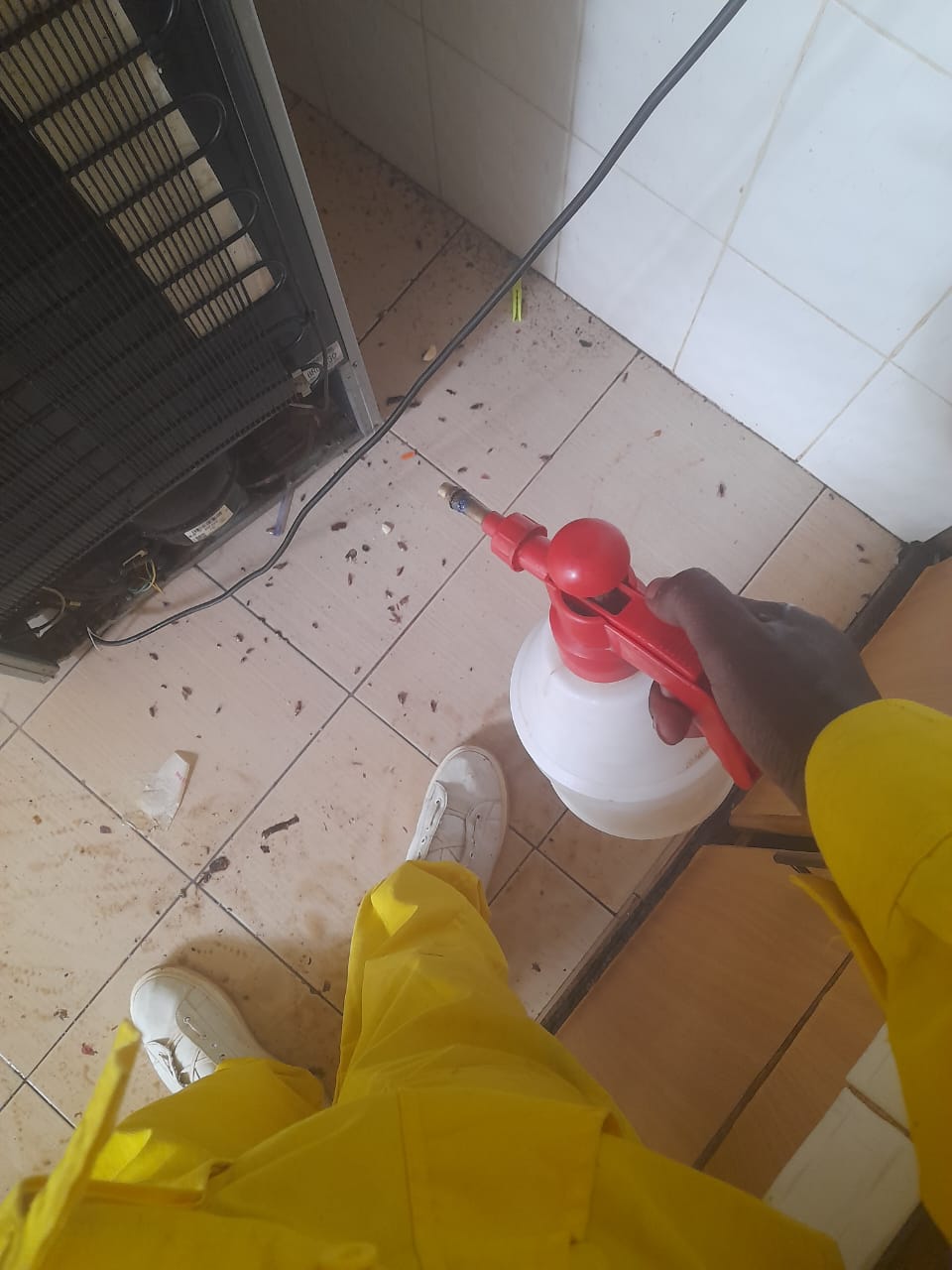 Post Construction Clean-up